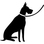 Dog Training